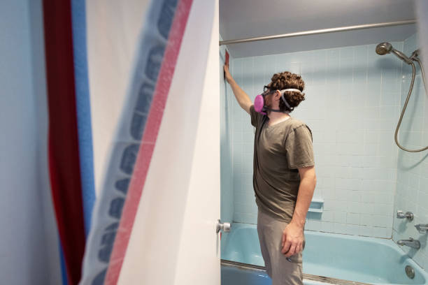 Mold Remediation for Rental Properties in Tonopah, NV